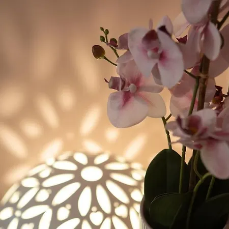 شقة Enjoy - Elegante Con Giardino *