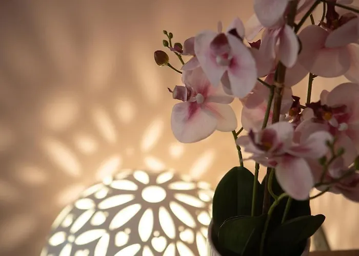 شقة Enjoy - Elegante Con Giardino *